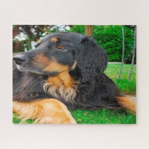 Schwarzer Hovawart Hund. Puzzle