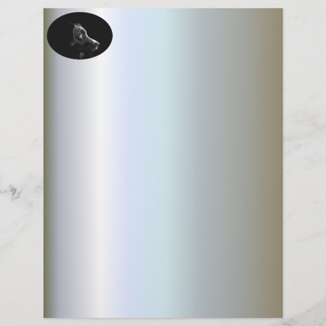 Schwarzer Hund beobachten (Vorderseite)