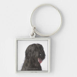 Schwarzer Hund, Briard Schlüsselanhänger