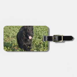 Schwarzer Hund Gepäckanhänger