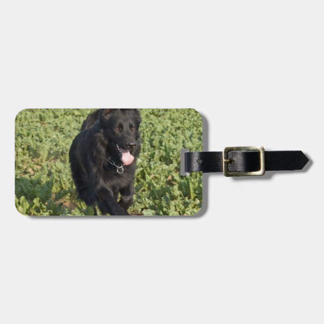 Schwarzer Hund Gepäckanhänger (Vorderseite horizontal)