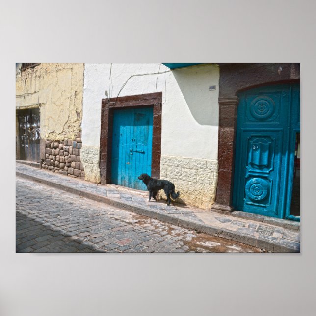 Schwarzer Hund in Cusco, Peru Poster (Vorne)
