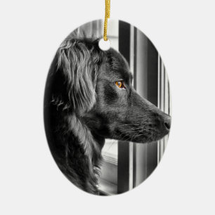 Schwarzer Hund Keramik Ornament