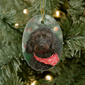Schwarzer Hund Labradoodor Weihnachten Keramik Ornament