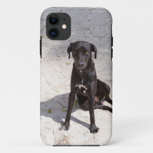 Schwarzer Hund mit bösen Augen iPhone 11 Hülle