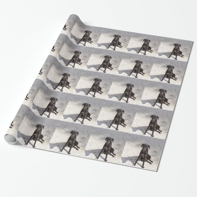 Schwarzer Hund mit bösen Augen Geschenkpapier (Ungerollt)