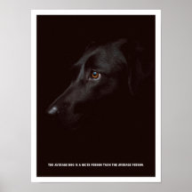 Schwarzer Hund Poster
