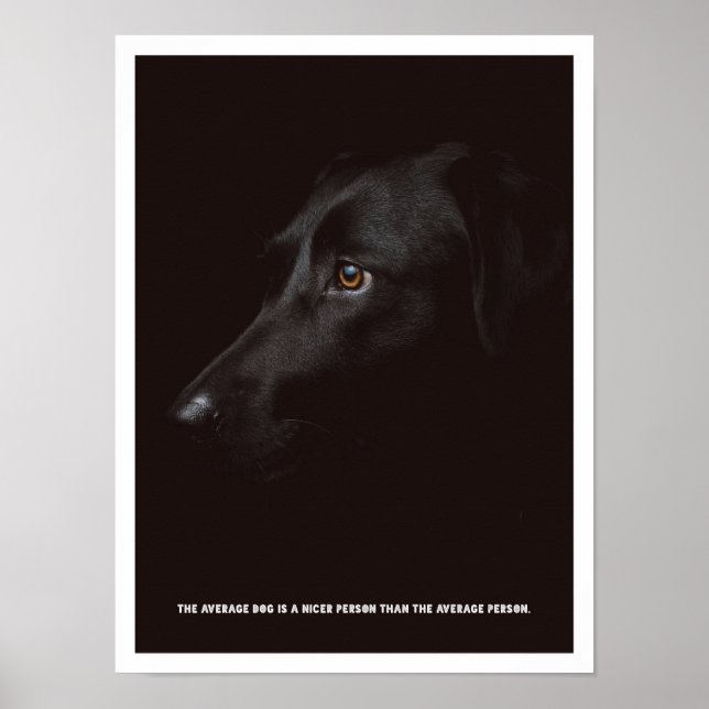 Schwarzer Hund Poster (Vorne)