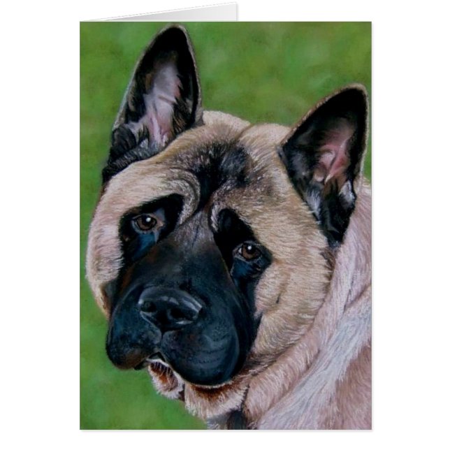 Schwarzer Hund-Sprichwort (Vorne)