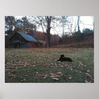 Schwarzer Hund von Autumn Barn Poster