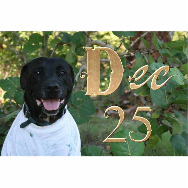 Schwarzer Hund weißes Shirt 25. Dezember Design Freistehende Fotoskulptur (Vorne)