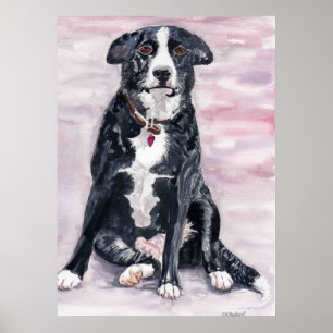 "Schwarzer Hunde" Plakat