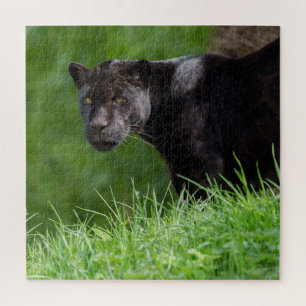 Schwarzer Jaguar, der das Licht besitzt Puzzle