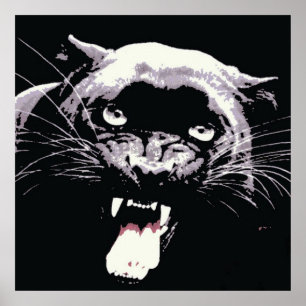 Schwarzer Jaguar Panther Poster
