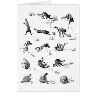 Schwarzer Katzenball und Wollgarnball, Alexandre S