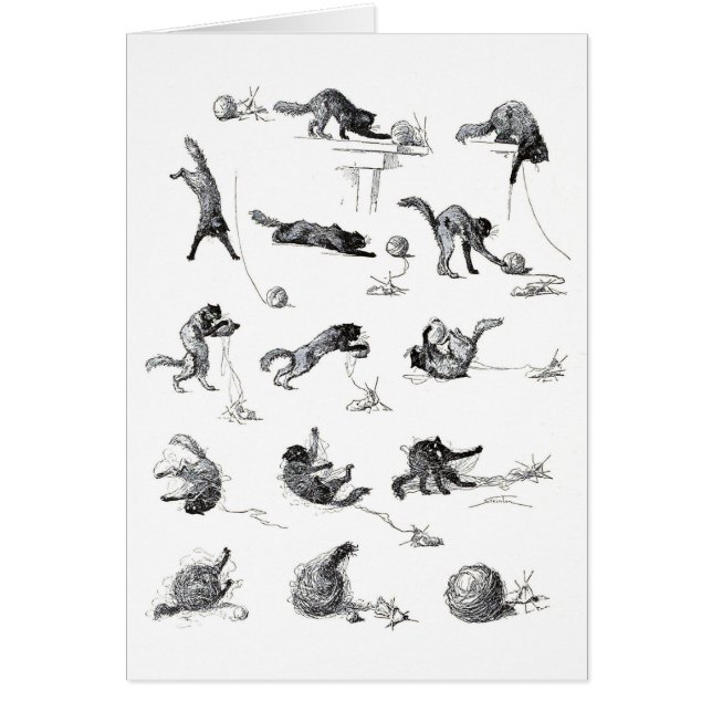 Schwarzer Katzenball und Wollgarnball, Alexandre S (Vorne)