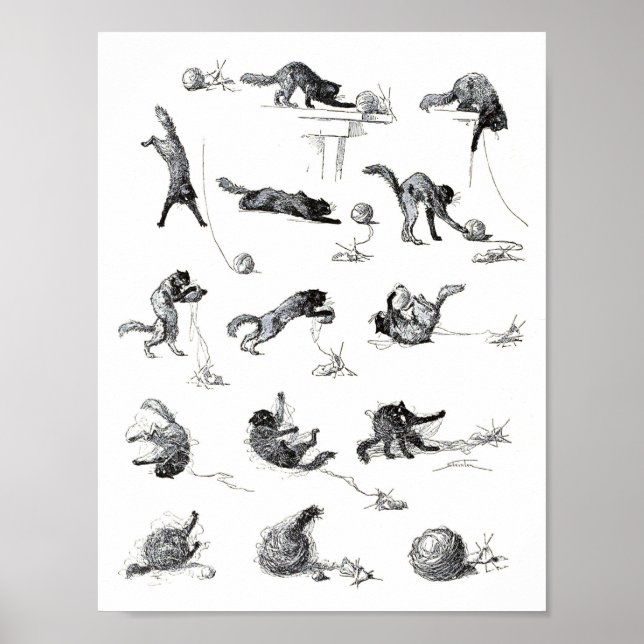 Schwarzer Katzenball und Wollgarnball, Alexandre S Poster (Vorne)