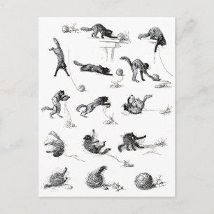 Schwarzer Katzenball und Wollgarnball, Alexandre S Postkarte