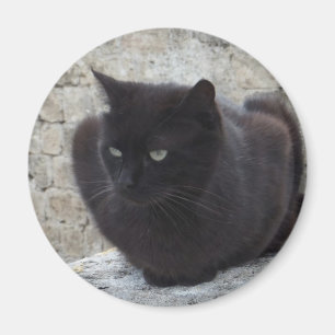 Schwarzer Katzenmagnet Magnet