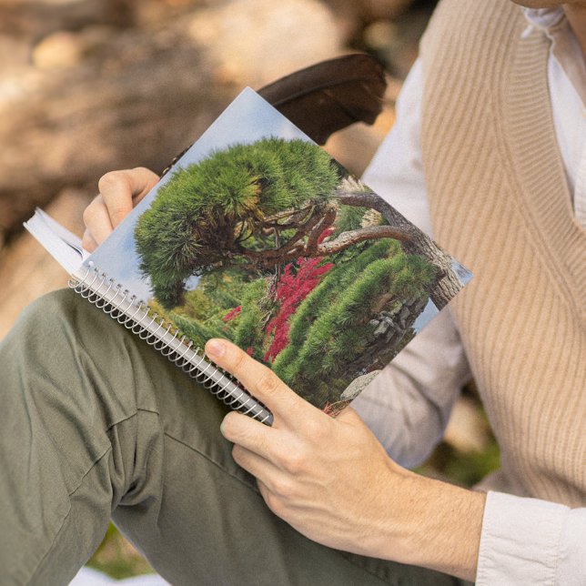 Schwarzer Kiefer und roter japanischer Ahornbaum Notizblock (In Situ)