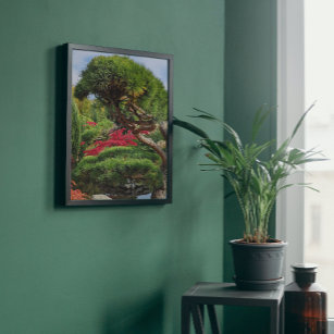 Schwarzer Kiefernbaum und roter japanischer Ahorn Fotodruck