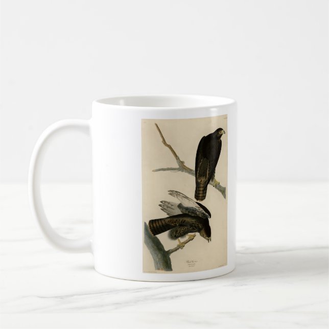 Schwarzer Krieger (Rotschwanzfalken) von Audubon-V Kaffeetasse (Links)