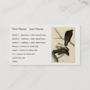 Schwarzer Krieger (Rotschwanzfalken) von Audubon-V Visitenkarte