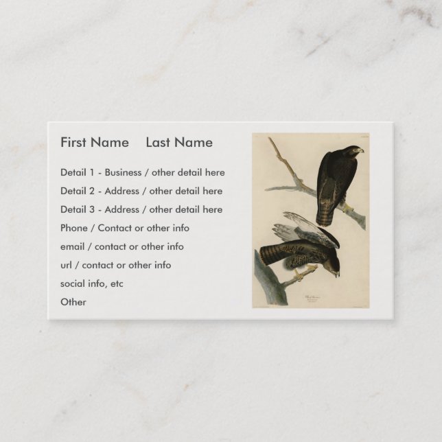 Schwarzer Krieger (Rotschwanzfalken) von Audubon-V Visitenkarte (Vorderseite)