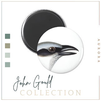 Schwarzer Kuckoo-Shrike Magnet