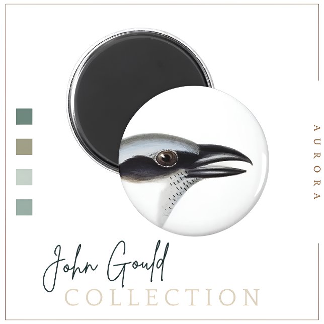 Schwarzer Kuckoo-Shrike Magnet (Von Creator hochgeladen)