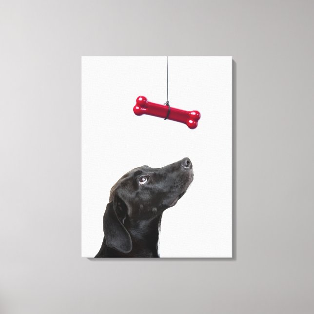 Schwarzer Lab gemischter Hund mit rotem Hundeknoch Leinwanddruck (Vorderseite)