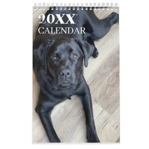 Schwarzer Lab-Kalender Labrador Retriever 2026 Kalender