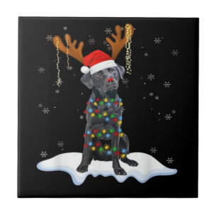 Schwarzer Lab Labrador Weihnachtsbaum Licht Pyjama Fliese