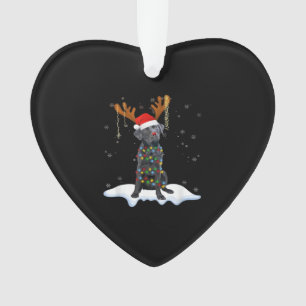 Schwarzer Lab Labrador Weihnachtsbaum Licht Pyjama Ornament