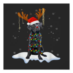 Schwarzer Lab Labrador Weihnachtsbaum Licht Pyjama Poster