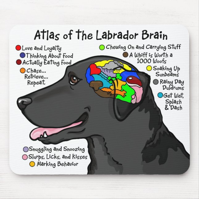Schwarzer Labrador-Gehirn-Atlas Mousepad (Vorne)