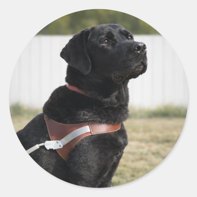 Schwarzer Labrador Guide Dog Abschluss Envelope Si Runder Aufkleber (Vorderseite)