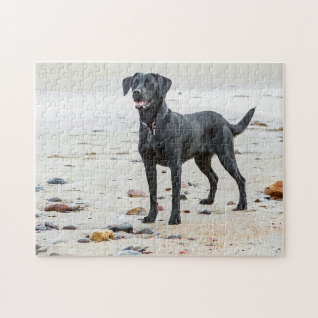 Schwarzer Labrador Hund am Strand Puzzle (Horizontal)
