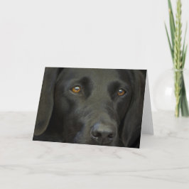 Schwarzer Labrador Hund Karte