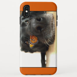 Schwarzer Labrador-Hund mit Schmetterling iPhone XS Max Hülle