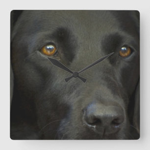 Schwarzer Labrador Hund Quadratische Wanduhr