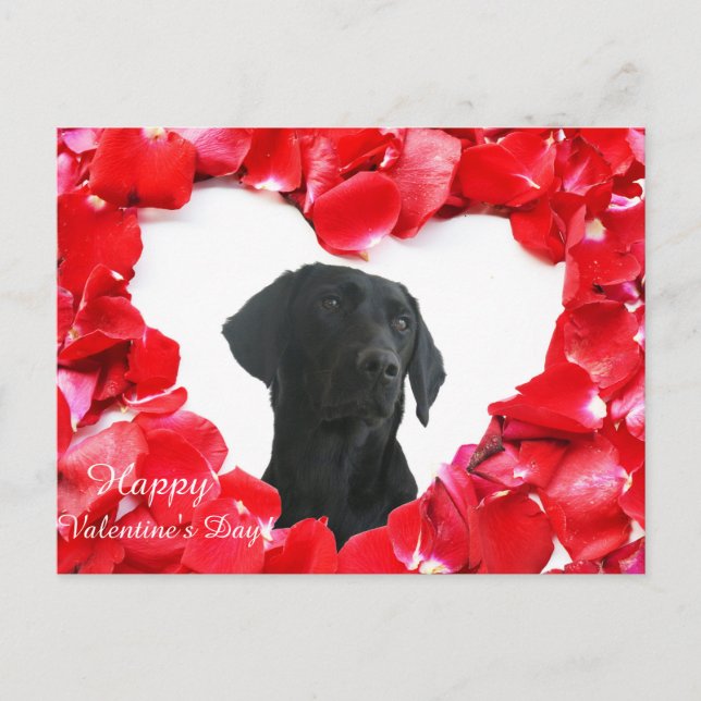 Schwarzer Labrador Hund Rose Foto Postkarte (Vorderseite)