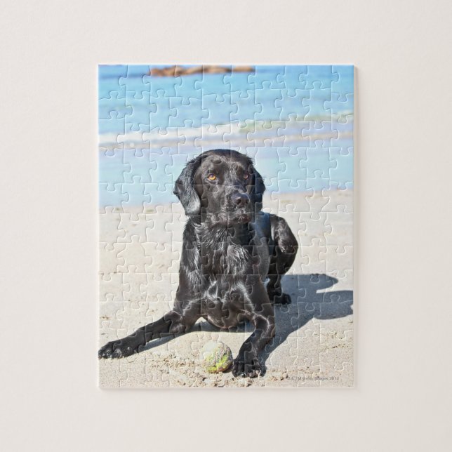 Schwarzer Labrador Hund sitzt am Strand Puzzle (Vertikal)