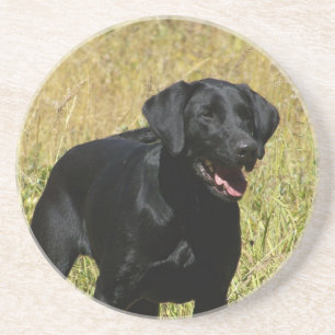 Schwarzer Labrador im Feld-Untersetzer Sandstein Untersetzer