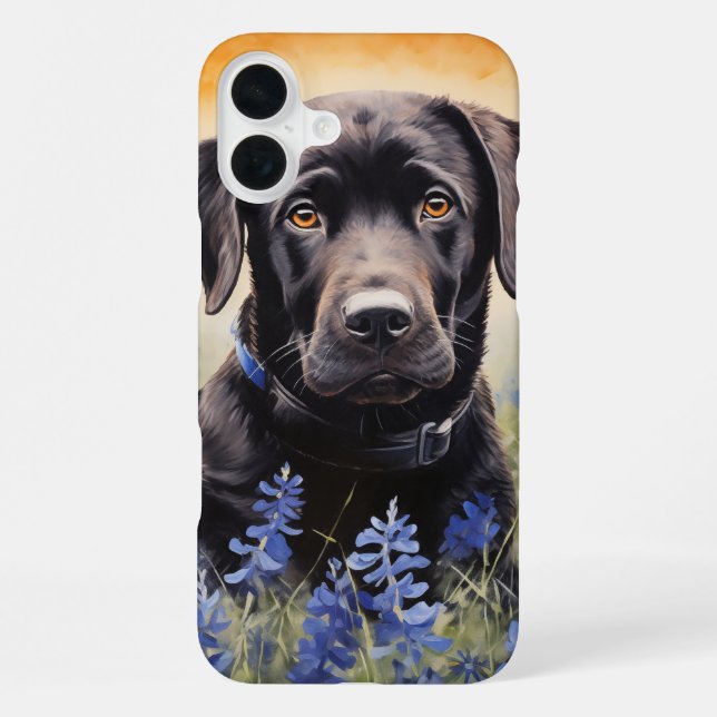 Schwarzer Labrador in Bluebonnets iPhone Hülle (Rückseite)