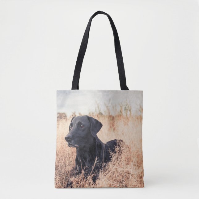 Schwarzer Labrador in trockenem Gras (Vorderseite)