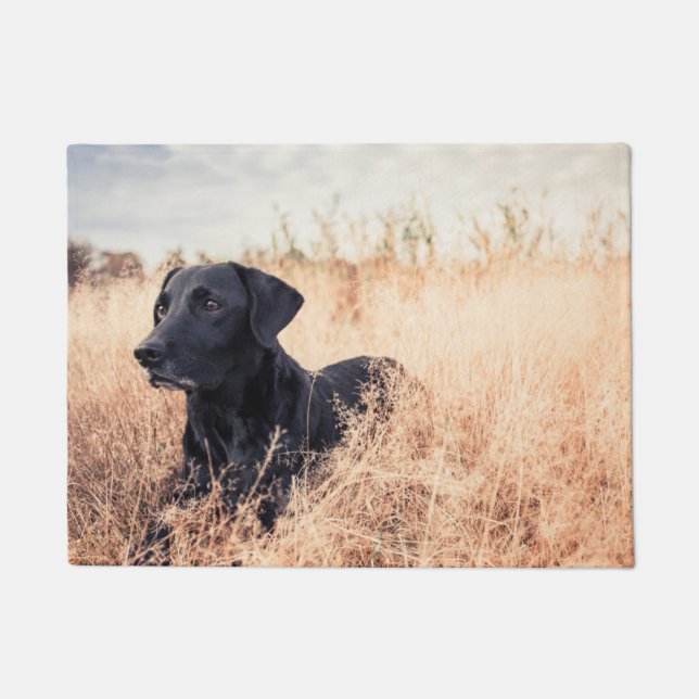 Schwarzer Labrador in trockenem Gras Fußmatte (Vorderseite)