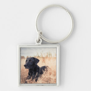 Schwarzer Labrador in trockenem Gras Schlüsselanhänger