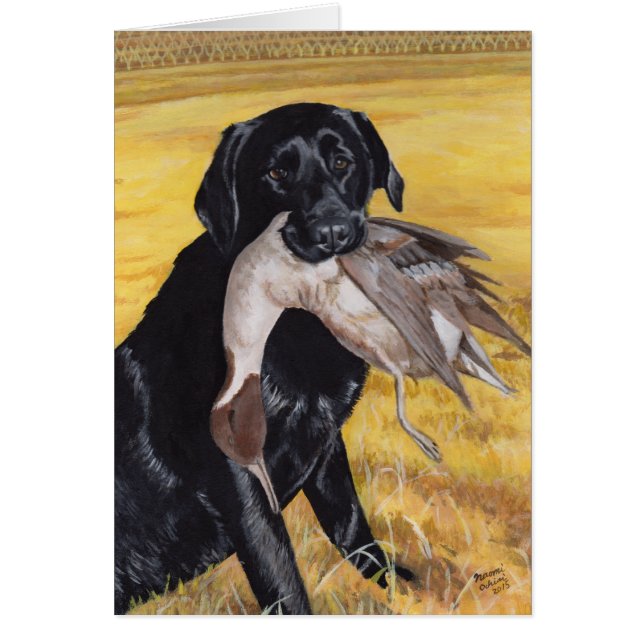 Schwarzer Labrador-Jagd-Hund (Vorne)