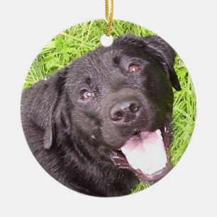 Schwarzer Labrador Keramik Ornament